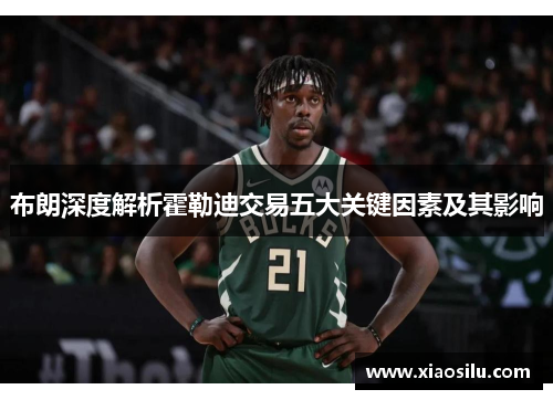 布朗深度解析霍勒迪交易五大关键因素及其影响