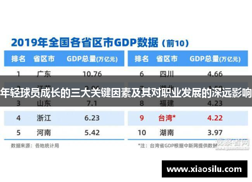 年轻球员成长的三大关键因素及其对职业发展的深远影响