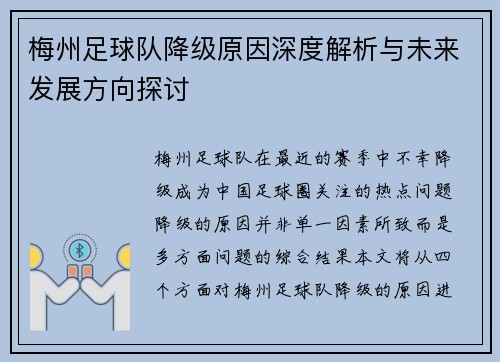 梅州足球队降级原因深度解析与未来发展方向探讨