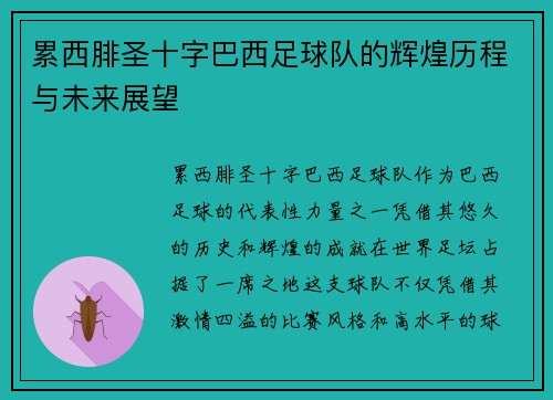 累西腓圣十字巴西足球队的辉煌历程与未来展望