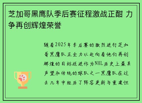 芝加哥黑鹰队季后赛征程激战正酣 力争再创辉煌荣誉