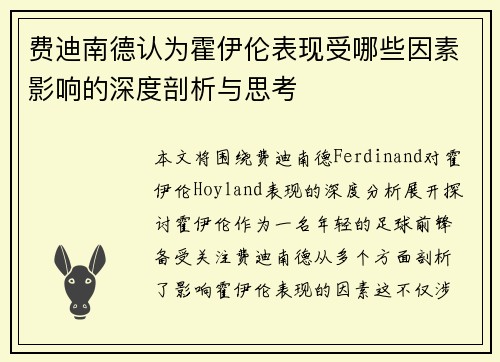 费迪南德认为霍伊伦表现受哪些因素影响的深度剖析与思考